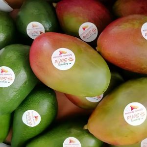 Avocado e Mango Siciliani – Box Risparmio