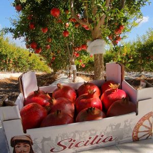 Melograno siciliano wonderful (Box da 9 Kg)