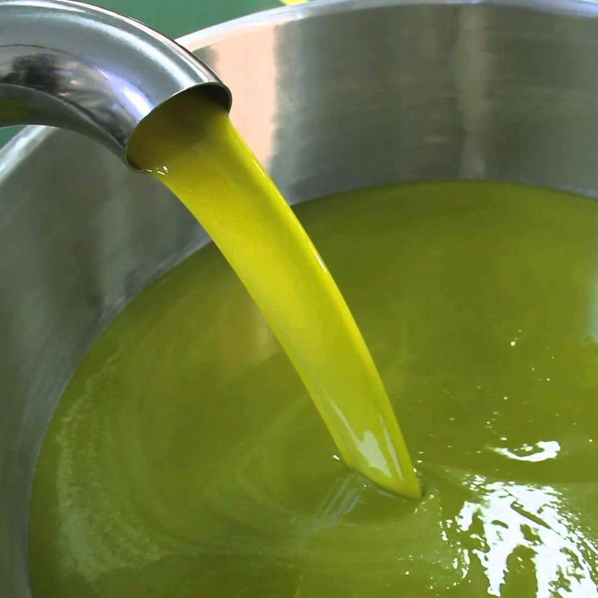 Olio EVO di Estratto a Freddo