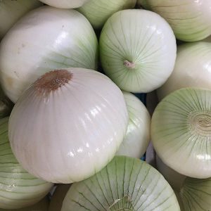 Cipolla Bianca Siciliana