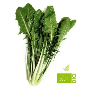 Cicoria Biologica 800g