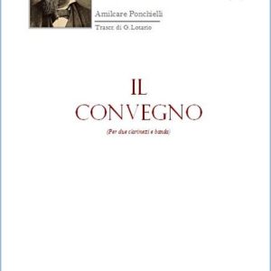 IL CONVEGNO