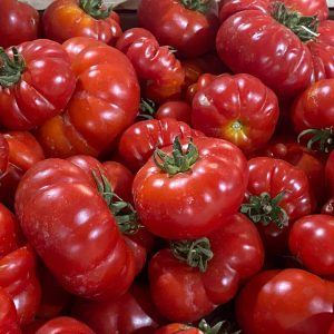 Pomodoro riccio di Corleone