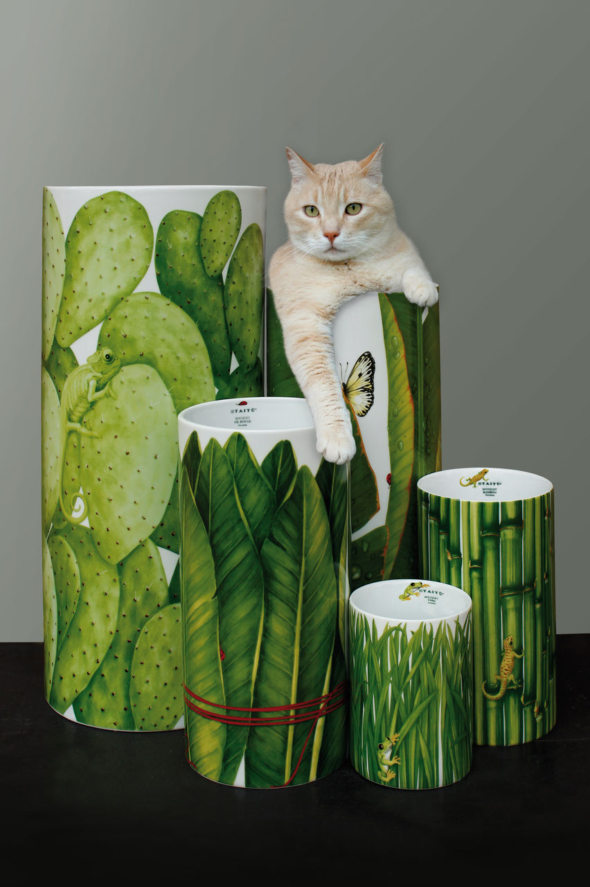 Taitù Bouquet-Cactus Vaso - immagine 3