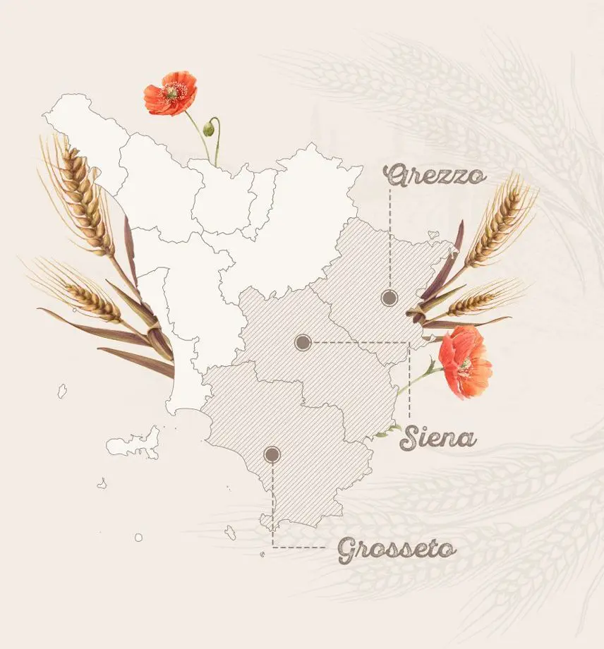 Spaghetti Integrali con Semi di Lino Biologico 500g - immagine 6