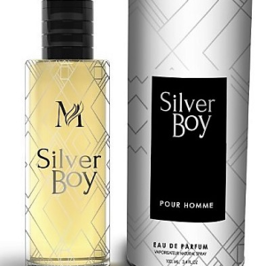 SILVER BOY  EAU DE PARFUM 100 ML EQUIVALENTE BOIS D’ARGENT DIOR
